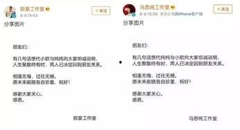 娱乐圈吃瓜爆料张翰,揭秘背后的真相与争议